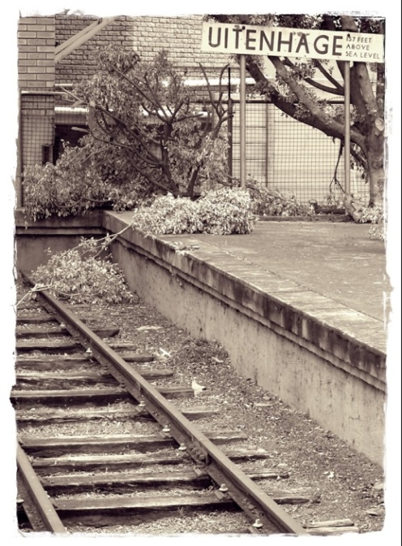 Cómo el mono trabajó oficialmente en el ferrocarril