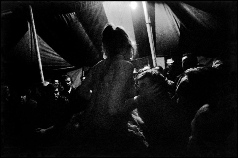 Fairground stripper Fairground stripper