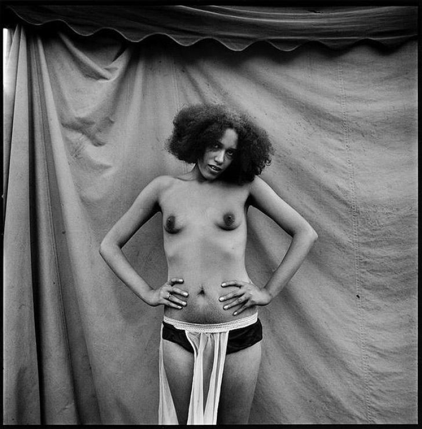 Fairground stripper Fairground stripper