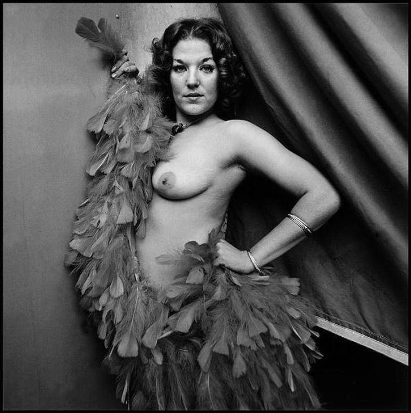 Fairground stripper Fairground stripper